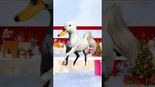 #funny #cute #puzzlegame #xmas #animals #plus #cat #birders #monkey #dog