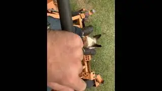 15 year old Jack Russell terrier riding on a 61&rdquo; Scag turf tiger liquid cooled Kawasaki