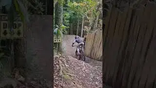 Lew-dog mashup here we go #mtb