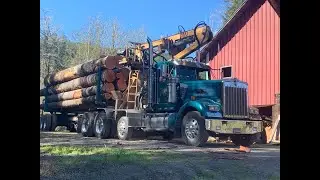 Riley Watkins Loading A Load of Logs at David Hull's  Home Place