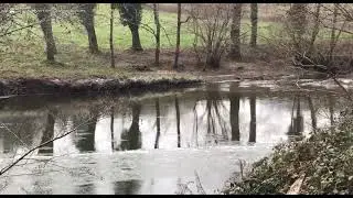 Beneath the Frozen surface....