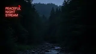 Calming Dark River Flow &bull; Live Stream for Sleep & Focus#8