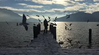 Nature TV | Everyday Ways of Connecting with Nature #reset #outdoors #ecotherapy 
