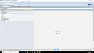 Find Sap created package name
