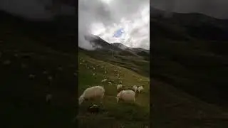 Au pied d'Orhy col Larrau