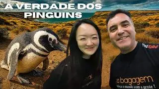 Viemos ver pinguins&hellip; e encontramos algo inesperado no Monte Le&oacute;n