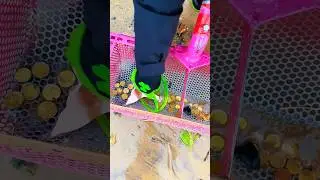 Beach Cleanup Challenge: Coins & Trash Found!