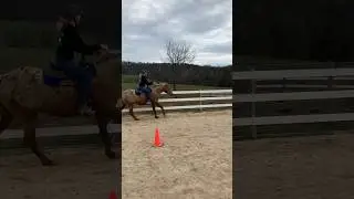Working on getting the correct canter lead. #horse #shorts #riding