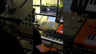 Unemployed Man Realizes FX Pedals Make A Difference (UAFX Del-Verb) #synth #uafx #delverb