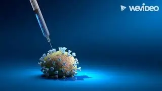 Corona Virus Outbreak: Government Likely To Chair High-level Covid Review Meeting Today