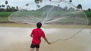 Net Fishing at Kampong Speu province, Cambodia part 01 | Khmer Net fishing 2014