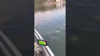 #fishing #bassfishing #highschoolfishing #fishingvideo