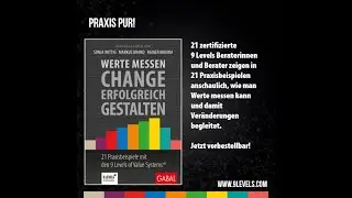 Werte messen - Change erfolgreich gestalten: Der Praxisband 9 Levels