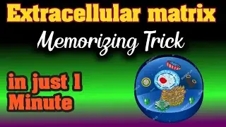 extracellular matrix