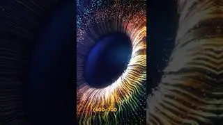 Scientists Discover New Blue Hue, Offering a 'Profound' Experience of Seeing a Unique Color