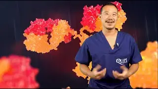 The Coronavirus is Mutating!
