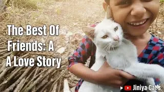 When a Child Plays with a Kitten &mdash; Every Second Feels New#cat #shortsvideo 