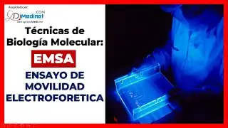 🟢 Aprenda EMSA (Electrophoretic Mobility Shift Assay) para encontrar Factores de transcripci&oacute;n 🧪🔬🤓