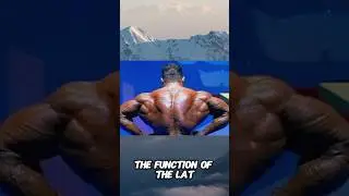 How to Really Target The Lats | Dorian Yates