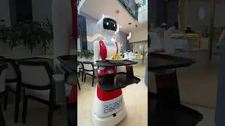 Nadia- Robot served me fries 🤩🤩#technology