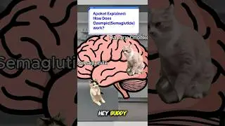 Cats Explain How Does Ozempic (Semaglutide) Work