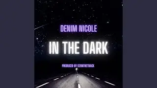 In The Dark