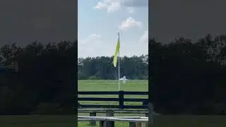 Flying circus airshow #shorts