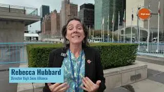 Why is #BBNJPrepCom important?