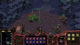 2 Games: ZVP and ZVZ