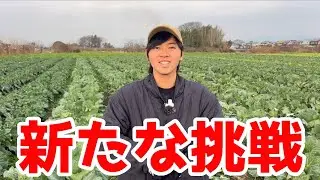まだまだ頑張ります！！