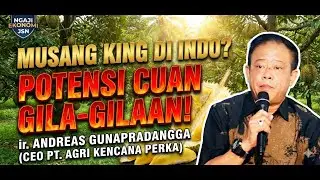 Tanam Durian Musang King di Indonesia, Emang Bisa? Potensi Cuan Milyaran! |Ir. Andreas Gunapradangga