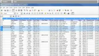 LibreOffice Base (03) Импорт данных из файла Calc