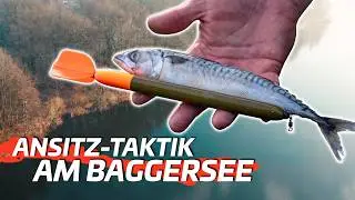 BAGGERSEE mit Deadbait im Winter &ndash; So findest du die besten Stellen