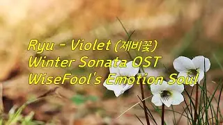 Ryu - Violet (제비꽃) / Winter Sonata OST