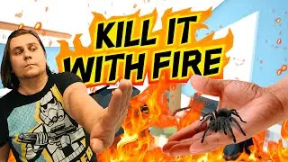 Я не боюсь пауков! || Kill It With Fire #1