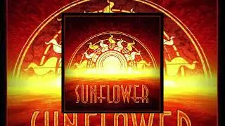 Sunflower: 