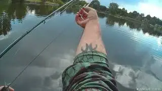 Fly fishing poppers for small mouth bass and green sunfish.