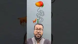 भर आम खाने के लिए कौन सा रास्ता अपनाएगा? #puzzle #game #challenge #funny #ytshorts #facts  #comedy