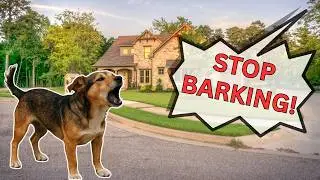How to Stop your Dog's Barking — Backed by Science!