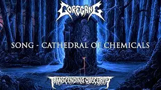 GOREGANG (US) - Cathedral of Chemicals (Death Metal/Crust) Transcending Obscurity Records HD