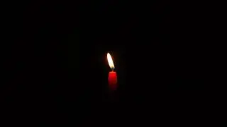 Warm Candlelight ✨ Soothing Candle Glow  🕯 Calm Candlelight  #candlelight #calm #wish #candlelight