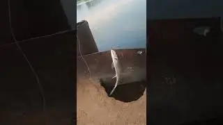 Лучший отдых этого года
