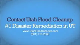 Utah Disaster Clean Up Services ⚠️ Fast, Reliable & 24/7 Help | Utah Disaster Clean Up Experts 🚨