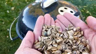 How to Harvest and Make Smoke Roasted Sunflower Seeds