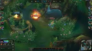 wtflol