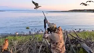 Alaska GOOSE HUNTING | Crazy Setup On A BEACH! (Mixed Bag)