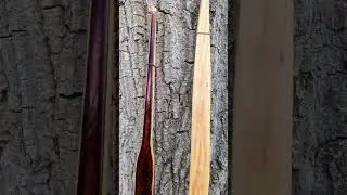 A pair of primitive bows.  #archer #archery #longbow #bowyer #woodworking #woodworker