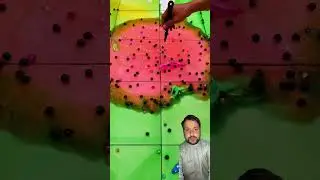 Water balloon popping crushing challenge