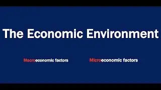 What is the Economic Environment?