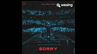 Alan Walker ft. IS&Aacute;K - Sorry (cover)